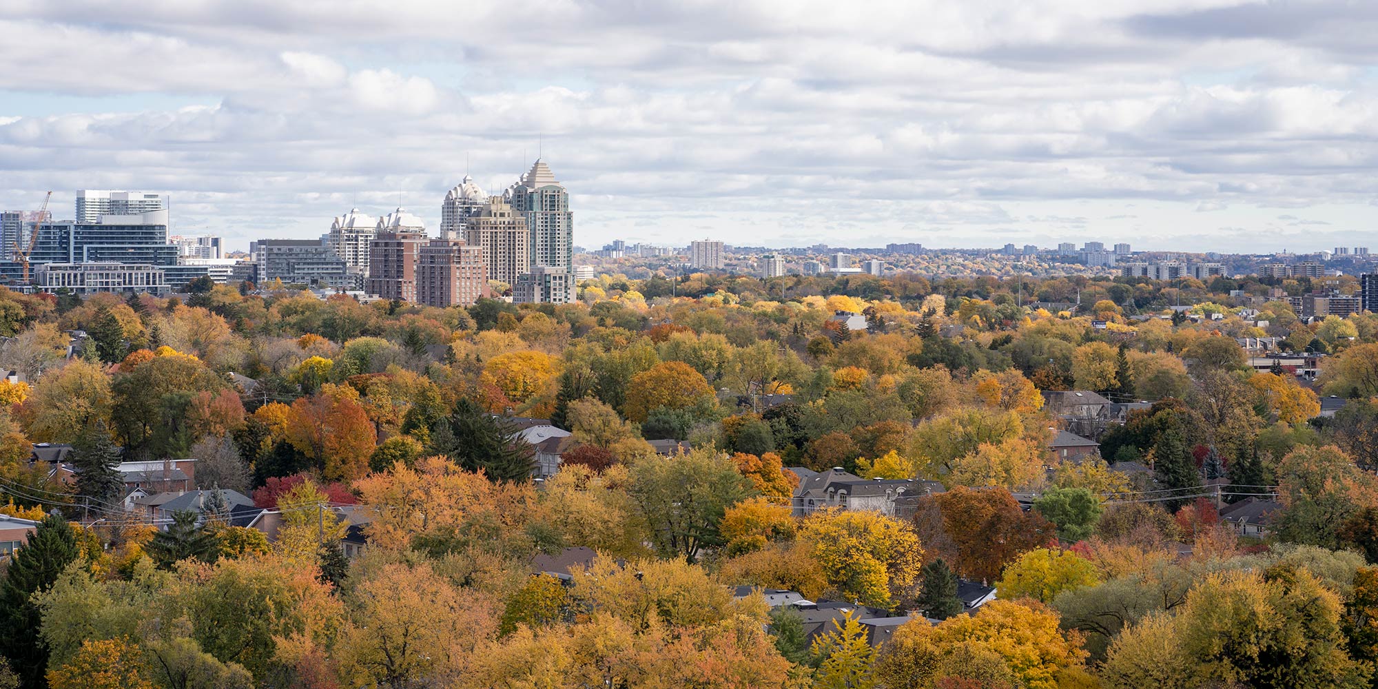 travel clinic north york